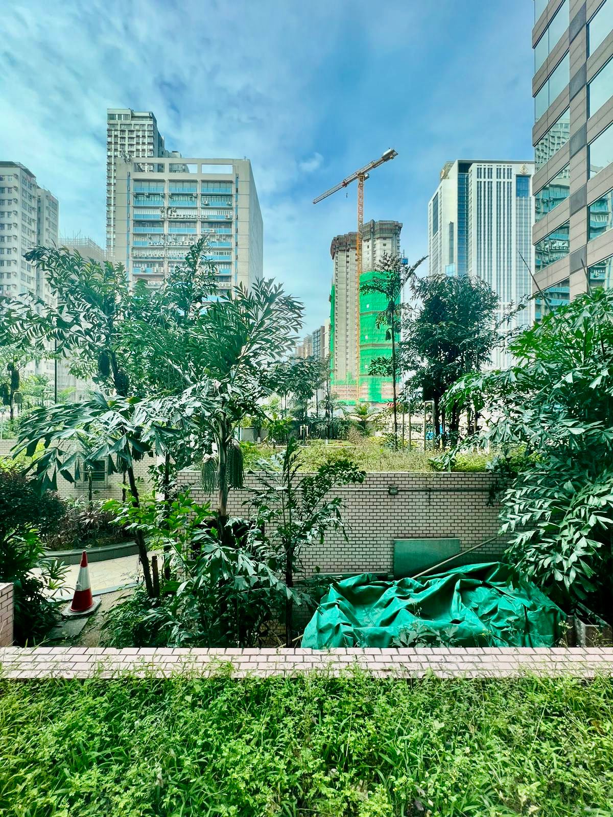 港運城